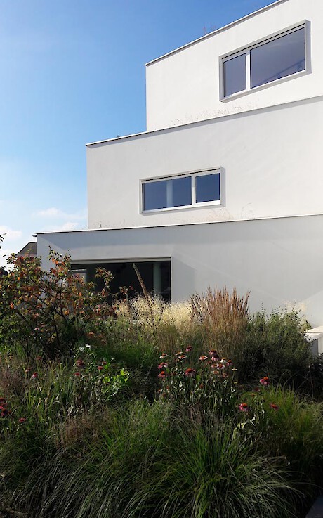 Extension to the existing building, the space in the basement is covered by a luxurious green roof