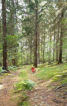 60 years old Douglas